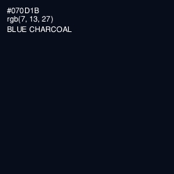 #070D1B - Blue Charcoal Color Image